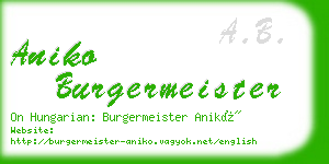 aniko burgermeister business card